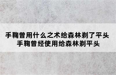 手鞠曾用什么之术给森林剃了平头 手鞠曾经使用给森林剃平头